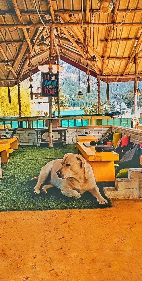 The Culture Nation Hostel Manali 외부 사진